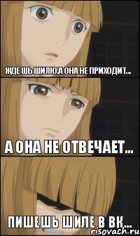 Ждешь Шилю,а она не приходит... Пишешь Шиле в вк... А она не отвечает...