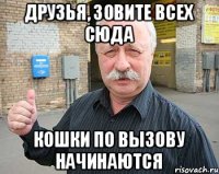 друзья, зовите всех сюда кошки по вызову начинаются