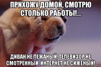 Домой Диван