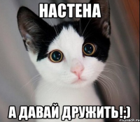 НАСТЕНА А ДАВАЙ ДРУЖИТЬ!;)