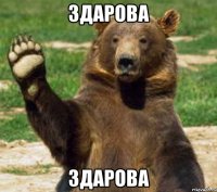 Здарова Здарова