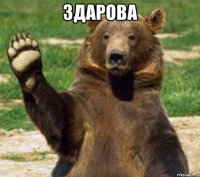 здарова 