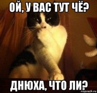 ой, у вас тут чё? днюха, что ли?