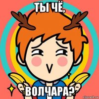 ты чё, волчара?