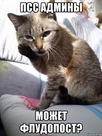 псс админы может флудопост?