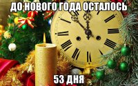 до нового года осталось 53 дня