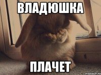 Владюшка Плачет