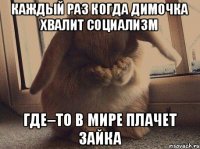 Каждый раз когда Димочка хвалит социализм где–то в мире плачет зайка
