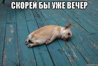 скорей бы уже вечер 
