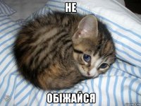 не обіжайся