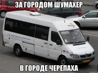За городом шумахер В городе черепаха