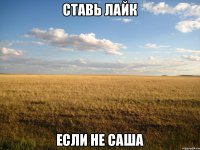 СТАВЬ ЛАЙК ЕСЛИ НЕ САША