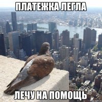 Платежка легла Лечу на помощь