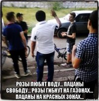 розы любят воду… пацаны свободу… розы гибнут на газонах… пацаны на красных зонах…