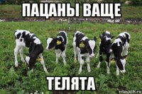 пацаны ваще телята
