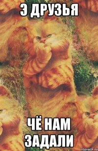Э друзья Чё нам задали