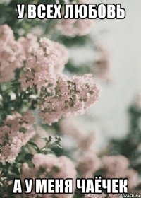у всех любовь а у меня чаёчек