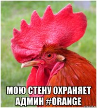  мою стену охраняет админ #orange