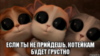  если ты не прийдешь, котейкам будет грустно