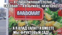 — я слива лиловая, спелая, садовая! — а я абрикос, на юге рос! — а я влад салат! а вместе мы-фруктовый сад!