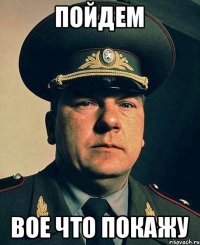 пойдем вое что покажу