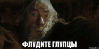  флудите глупцы
