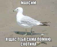 Максим Я щас тебя сама помню, скотина
