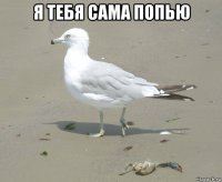 я тебя сама попью 