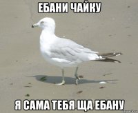 ебани чайку я сама тебя ща ебану
