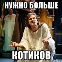 нужно больше котиков