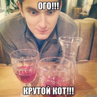 Ого!!! Крутой кот!!!