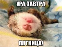 Ура,завтра пятница!