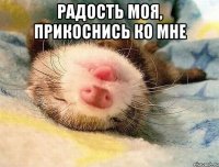 Радость моя, прикоснись ко мне 