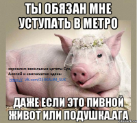 Ты обязан мне уступать в метро Даже если это пивной живот или подушка.ага