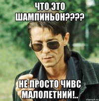 что это шампиньон???? не просто чивс малолетний!..