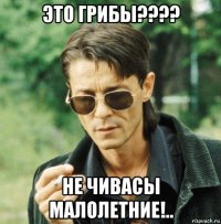это грибы???? не чивасы малолетние!..