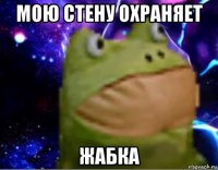 мою стену охраняет жабка