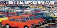 сына к тебе друзья приехали 