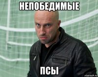 непобедимые псы