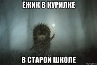 ёжик в курилке в старой школе
