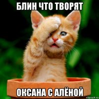 блин что творят оксана с алёной