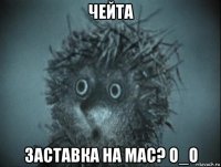 чейта заставка на mac? o_o