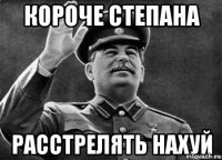 короче степана 