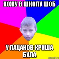 хожу в школу шоб у пацанов криша була