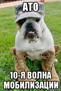 ато 10-я волна мобилизации