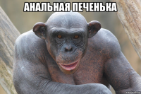 анальная печенька 