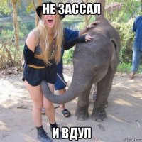не зассал и вдул