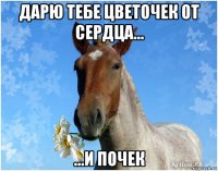 дарю тебе цветочек от сердца... ...и почек