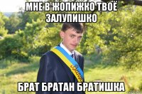 мне в жопижко твоё залупишко брат братан братишка