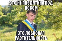 это не пиздятина под носом это лобковая растительность